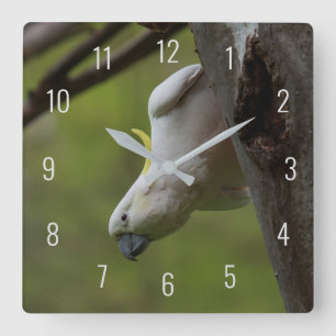 Cute Funny Cockatoo Bird Parrot Upside Down Square Wall Clock