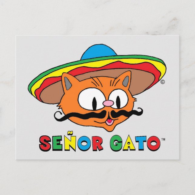 Cute Funny Colorful Cartoon Cat Cinco de Mayo Postcard (Front)