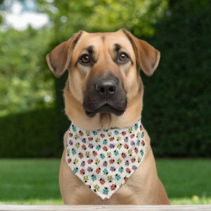 Cute & Funny Colorful Ladybugs Pet Bandana