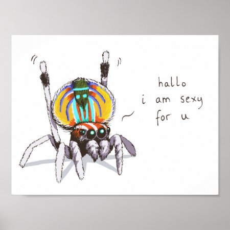 Cute Funny Colorful Peacock Spider Drawing Poster