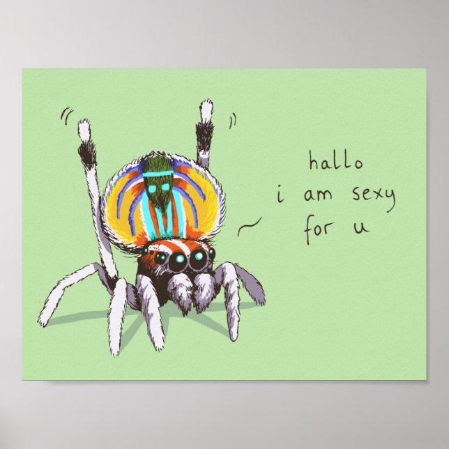 Cute Funny Colorful Peacock Spider Drawing Poster (Front)