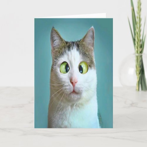 Cute Funny Crazy Cat Birthday Card