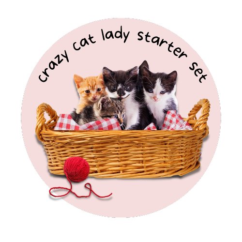 Cute Funny Crazy Cat Lady Text Kitten Basket Coffee Mug