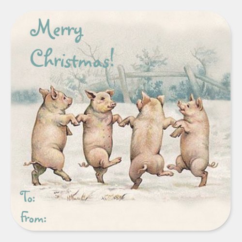 Cute Funny Dancing Pigs Merry Christmas Package Square Sticker