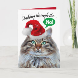 Cute Funny Dashing Through The Snow Cat Holiday Card