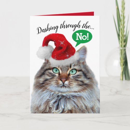 Cute Funny Dashing Through The Snow Cat Holiday Card