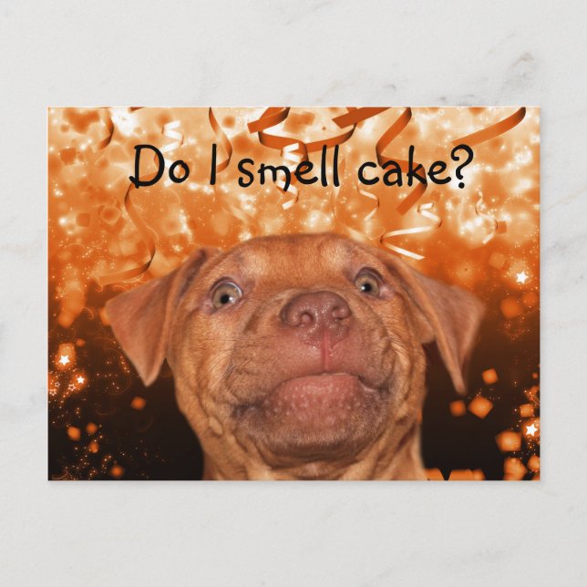 Cute funny dog birthday postcard (Front)