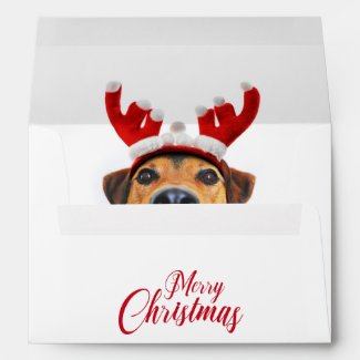 Cute Funny Dog Christmas Reindeer Antler Headband