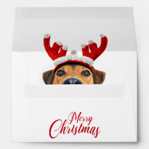 Cute Funny Dog Christmas Reindeer Antler Headband Envelope