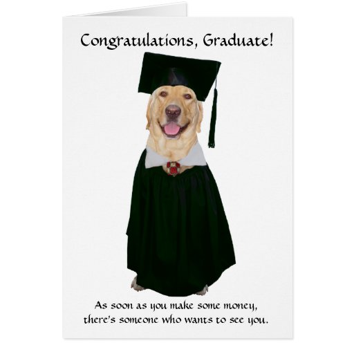 Cute/Funny Dog Graduation Greeting Cards | Zazzle