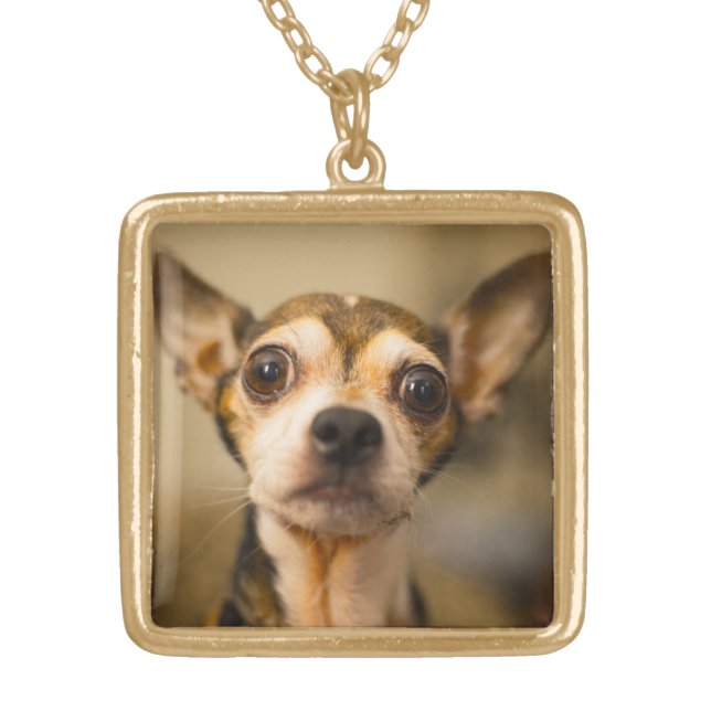 Cute & Funny Dog necklace (Front)