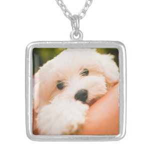 Cute & Funny Dog necklace