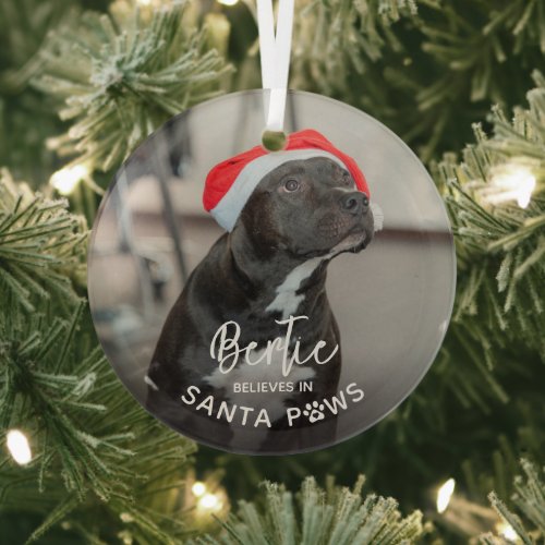 Cute Funny Dog Photo Believe in Santa Paws Glass Ornament