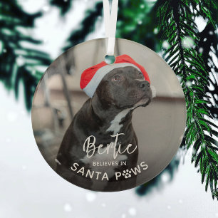Cute Funny Dog Photo 'Believe in Santa Paws' Glass Ornament