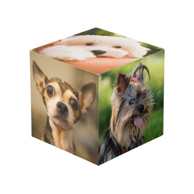 Cute & Funny Dogs (and / or YOUR photos) cube (Front Angled)