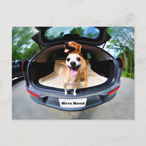 Cute Funny Dogs Going For Car Ride Moving Postcard