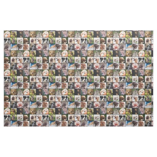 Cute & Funny Dogs Photo Collage fabric