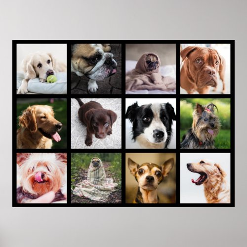 Cute  Funny Dogs Photo Collage Poster 1