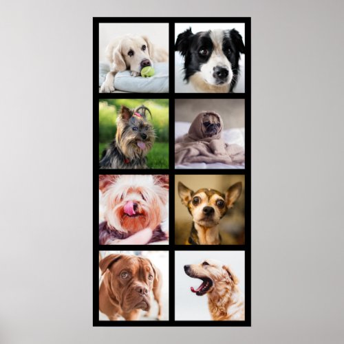 Cute  Funny Dogs Photo Collage Poster 2