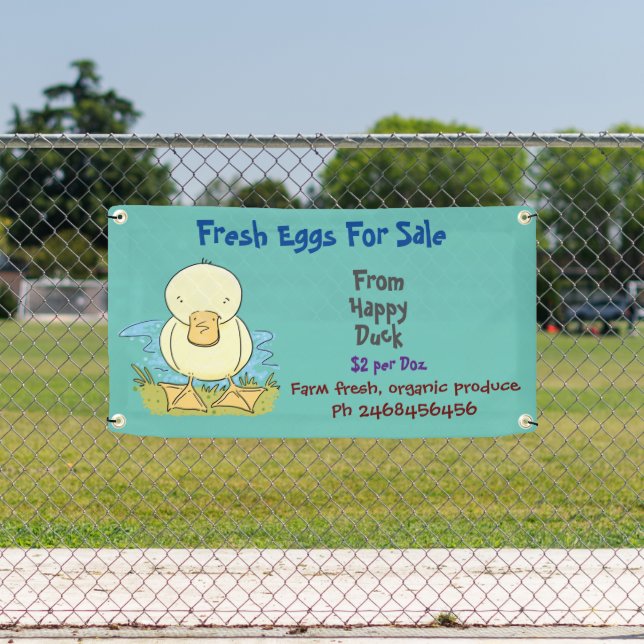 Cute funny duck cartoon eggs for sale sign (Insitu)