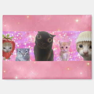 cute funny ethereal meme kitty sparkly magnet