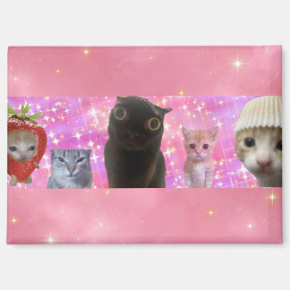 cute funny ethereal meme kitty sparkly magnet