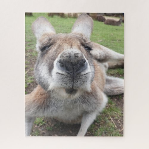 Cute Funny Face Kangaroo Educational Animal Photo Jigsaw Puzzle