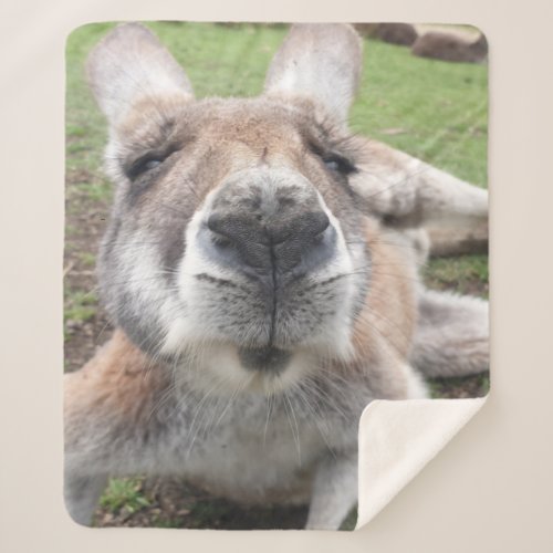 Cute Funny Face Kangaroo Kawaii Animal Australia Sherpa Blanket
