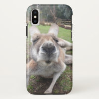 Cute Funny Face Kangaroo Kawaii Animal Photo