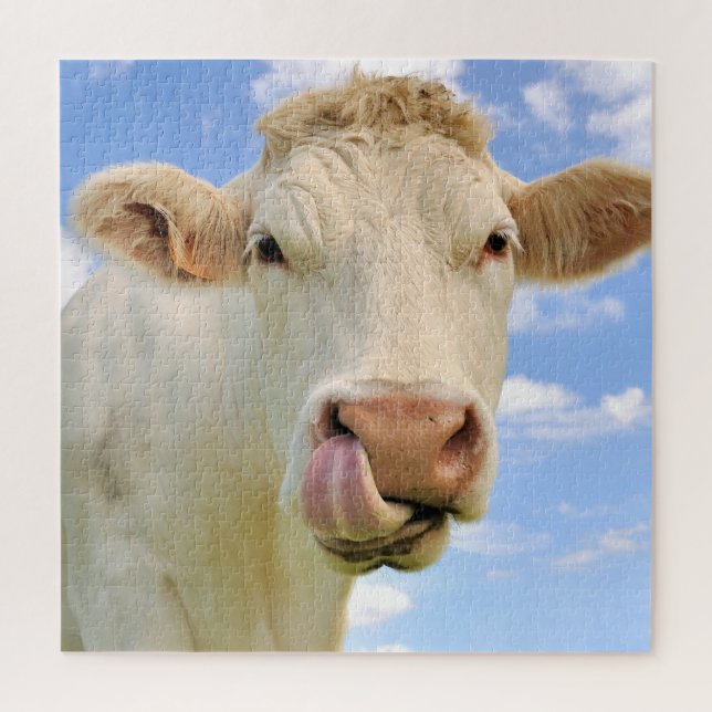 Cute Funny Farm Charolais Cow Licking Nose Jigsaw Puzzle (Vertical)