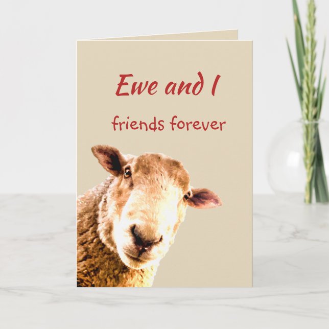 Cute Funny Friends Forever Sheep Animal Humor Thank You Card (Front)