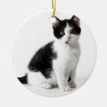 Cute Funny Furry Kitten Black And White Cat Ceramic Ornament at Zazzle