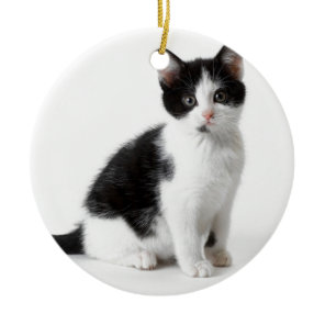 Cute Funny furry kitten black and white cat Ceramic Ornament