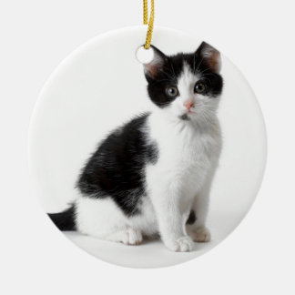 Cute Funny furry kitten black and white cat Ceramic Ornament