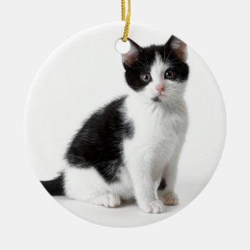 Cute Funny Furry Kitten Black And White Cat Ceramic Ornament by WhenWestMeetEast at Zazzle