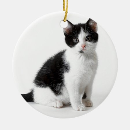 Cute Funny Furry Kitten Black And White Cat Ceramic Ornament