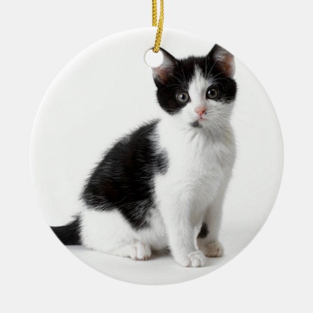 Cute Funny furry kitten black and white cat Ceramic Ornament (Front)