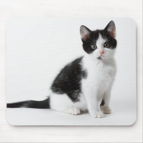 Cute Funny furry kitten black and white cat Mouse Pad