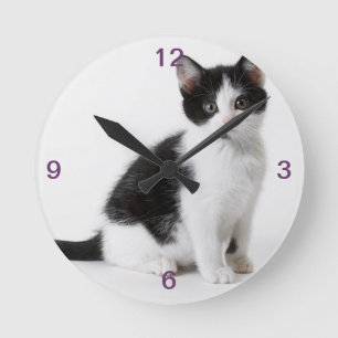 Cute Funny furry kitten black and white cat Round Clock