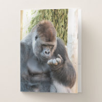 CUTE FUNNY GORILLA