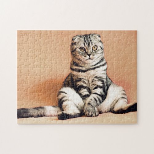 Cute Funny Gray White Striped Cat Jigsaw Puzzle