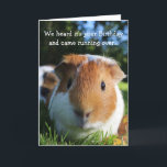 Cute Funny Guinea Pig Birthday Card<br><div class="desc">A photo of a cute guinea pig enjoying a sunny day on the grass. Personalize this card for a cavy lover!</div>