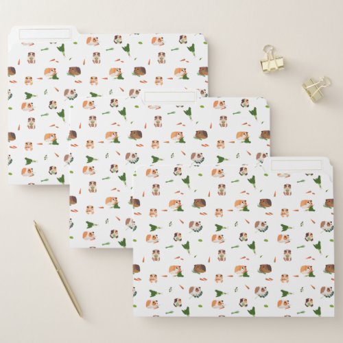 Cute Funny Guinea Pigs Pet Pattern File Folder