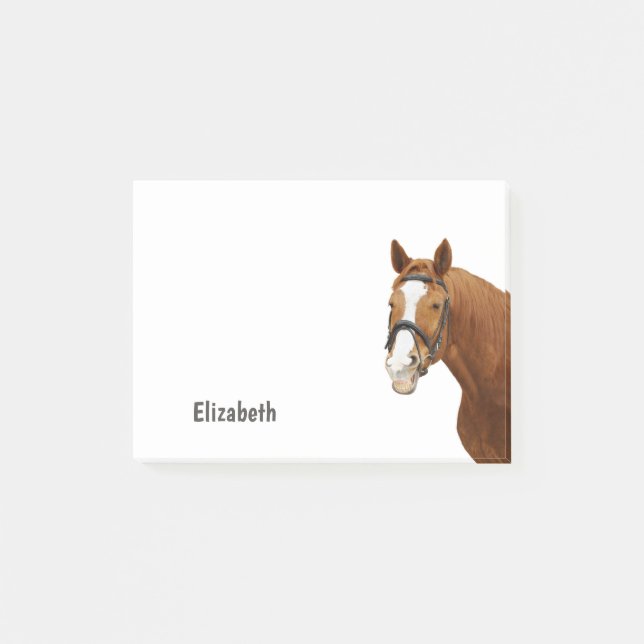 Cute Funny Horse Personalized Name Post-it Notes (Front)