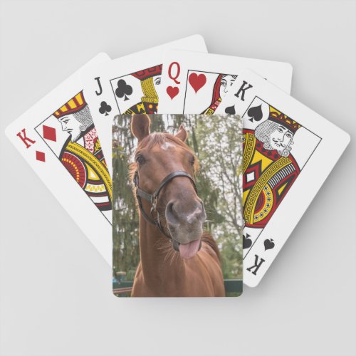 Cute Funny Horse Photograph Playing Cards