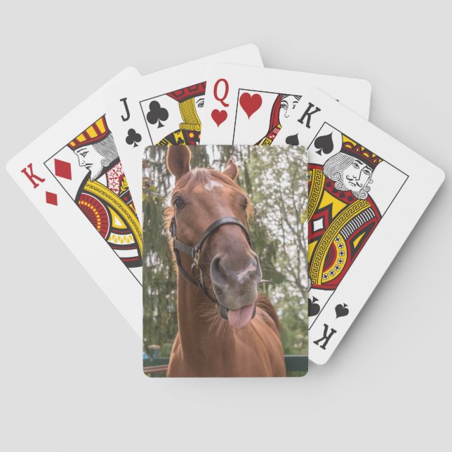 Cute Funny Horse Photograph Poker Cards (Back)