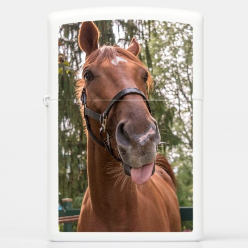 Cute Funny Horse Photograph  Zippo Lighter