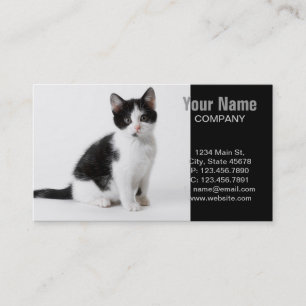 Cute Funny kitten black and white cat Business Card