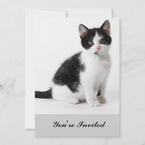 Cute Funny kitten black and white cat Invitation