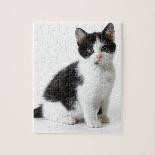 Cute Funny kitten black and white cat Jigsaw Puzzle